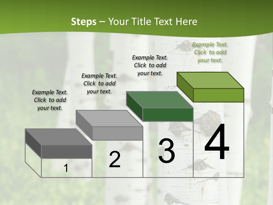 A Group Of White Birch Trees With Green Grass In The Background PowerPoint Template