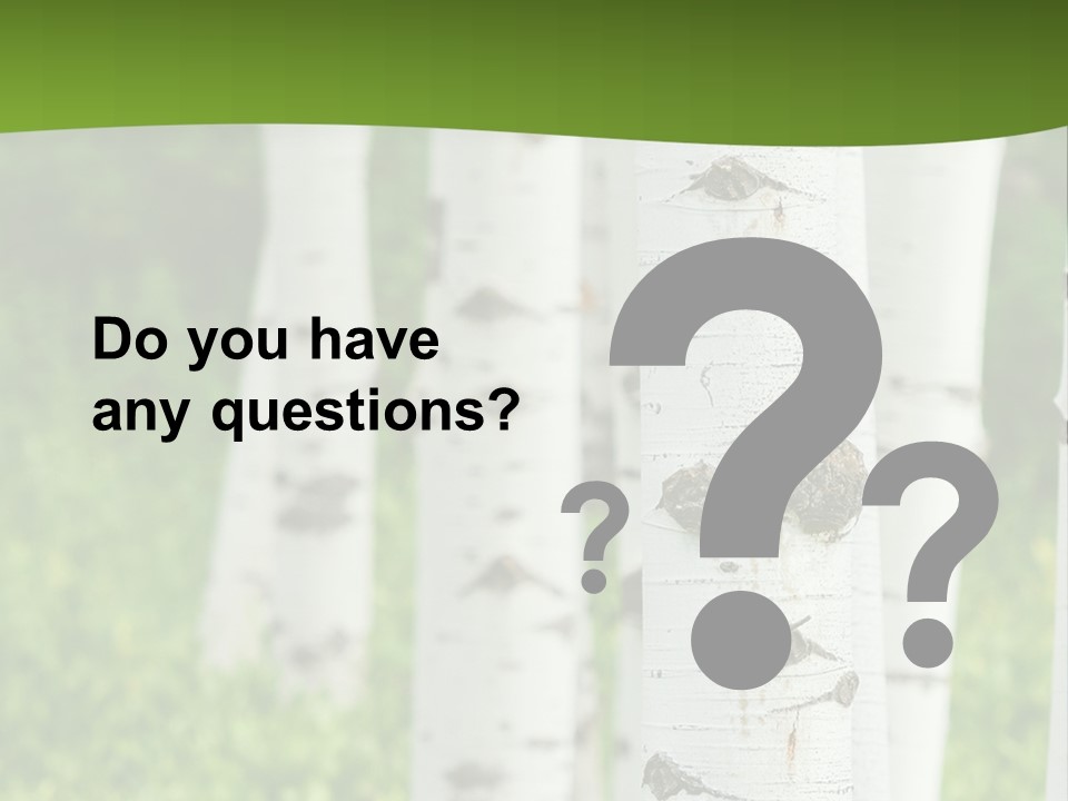 A Group Of White Birch Trees With Green Grass In The Background PowerPoint Template