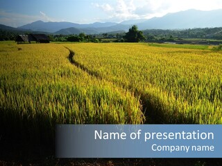 Asia Food Farm PowerPoint Template