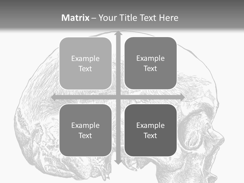 Evolution Set Substructure PowerPoint Template