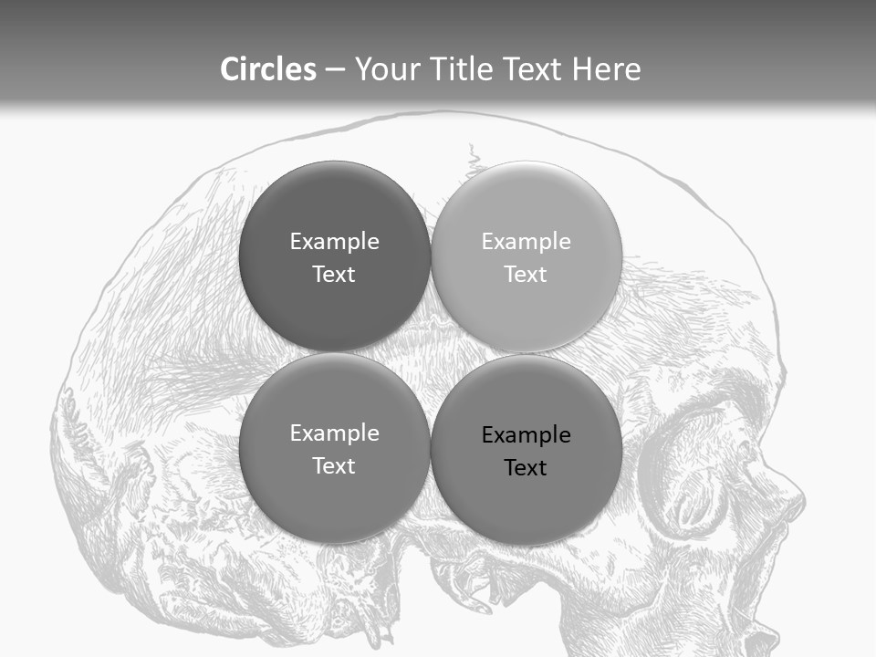Evolution Set Substructure PowerPoint Template