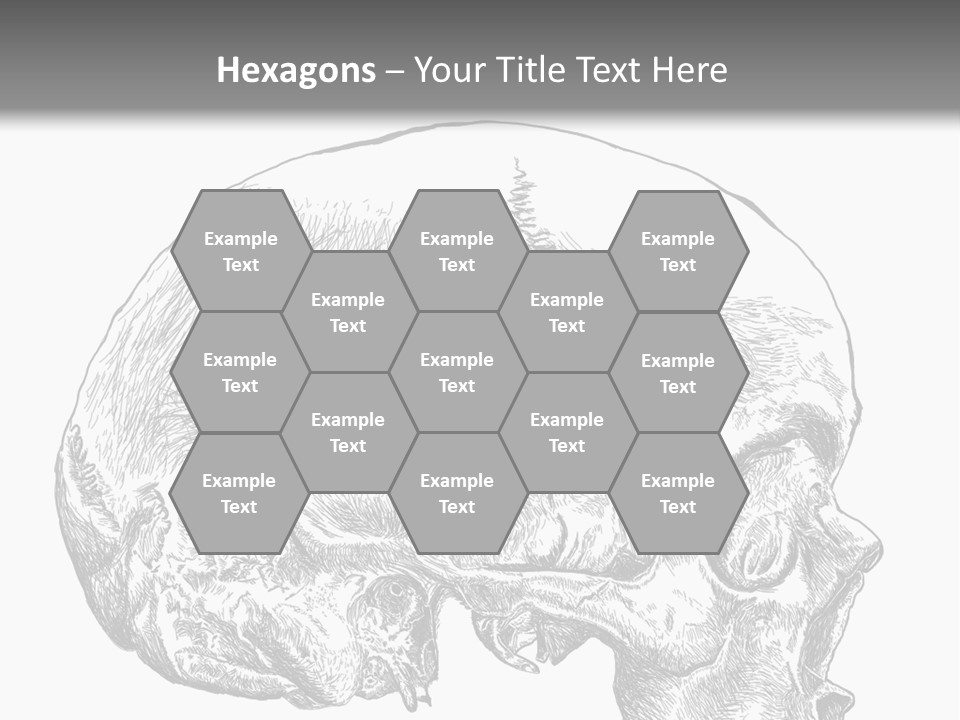 Evolution Set Substructure PowerPoint Template