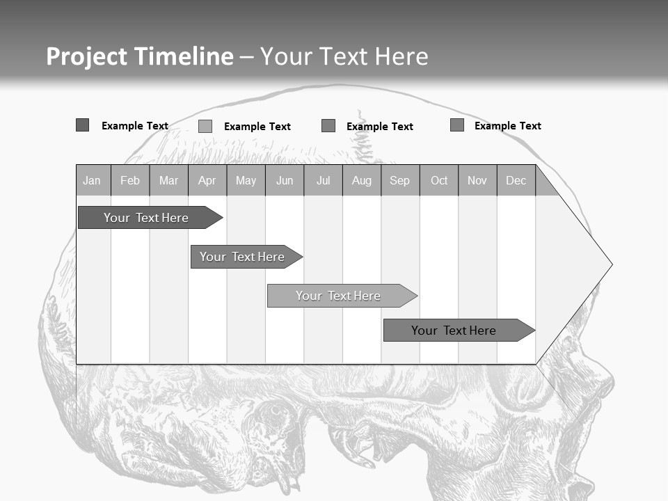 Evolution Set Substructure PowerPoint Template