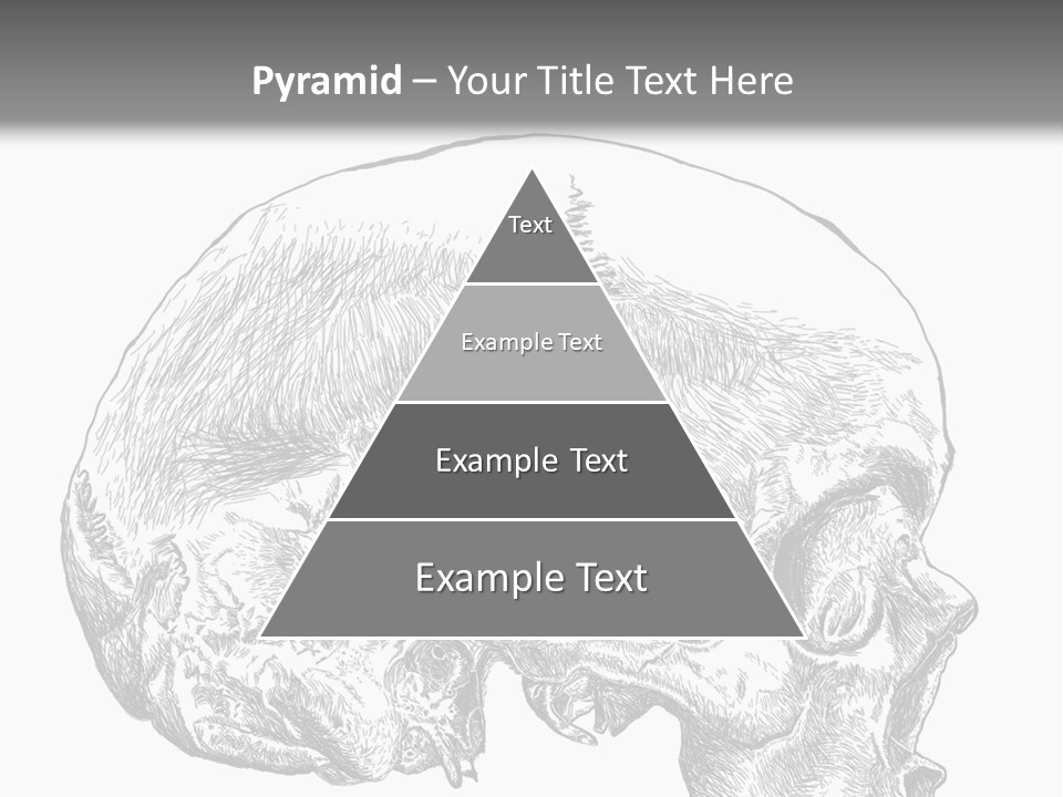 Evolution Set Substructure PowerPoint Template