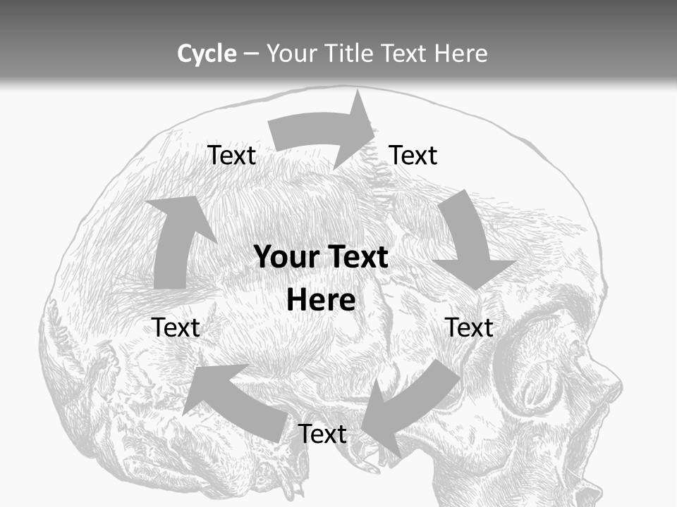 Evolution Set Substructure PowerPoint Template