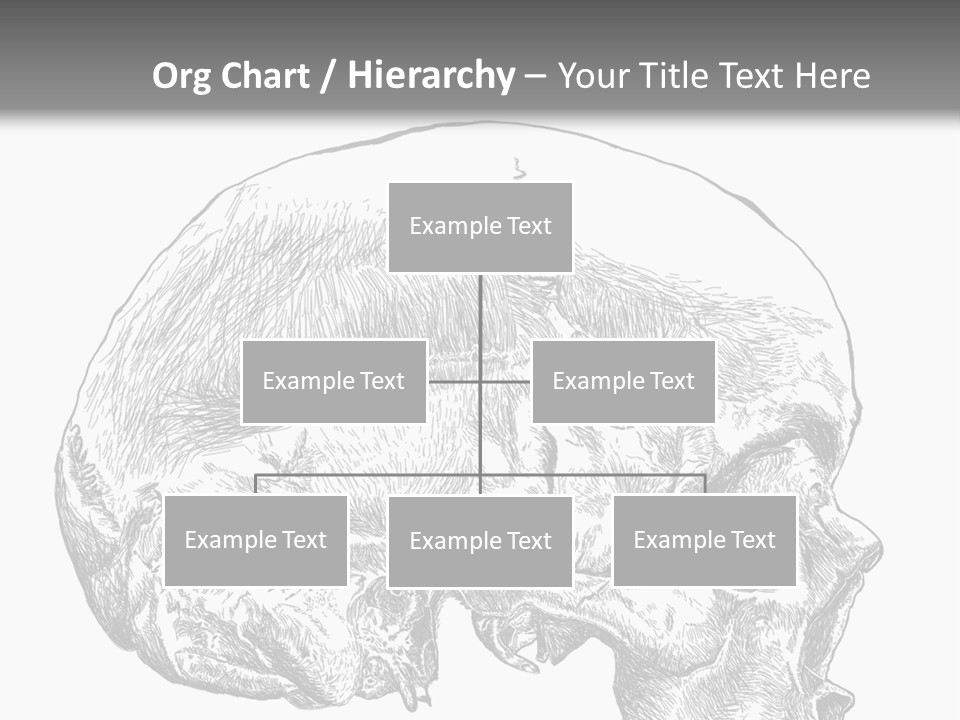 Evolution Set Substructure PowerPoint Template