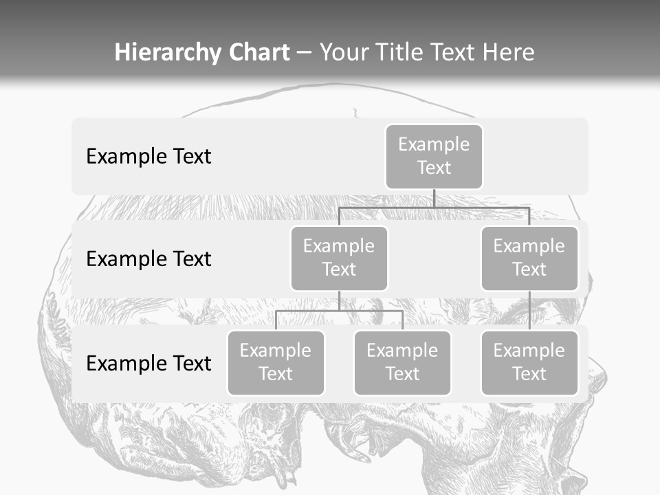 Evolution Set Substructure PowerPoint Template