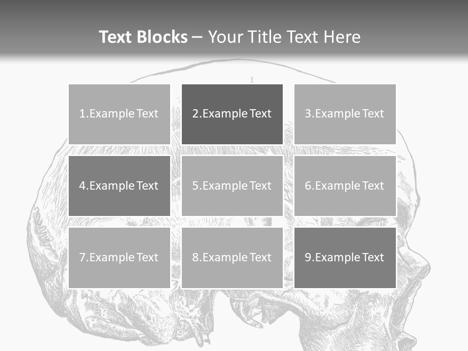 Evolution Set Substructure PowerPoint Template