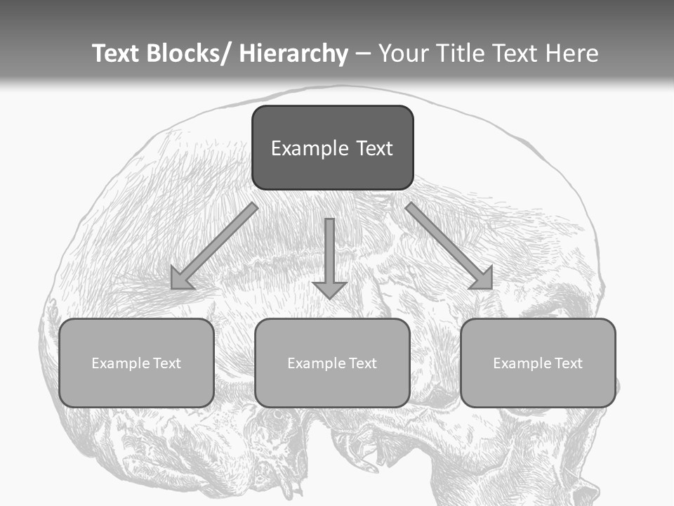 Evolution Set Substructure PowerPoint Template