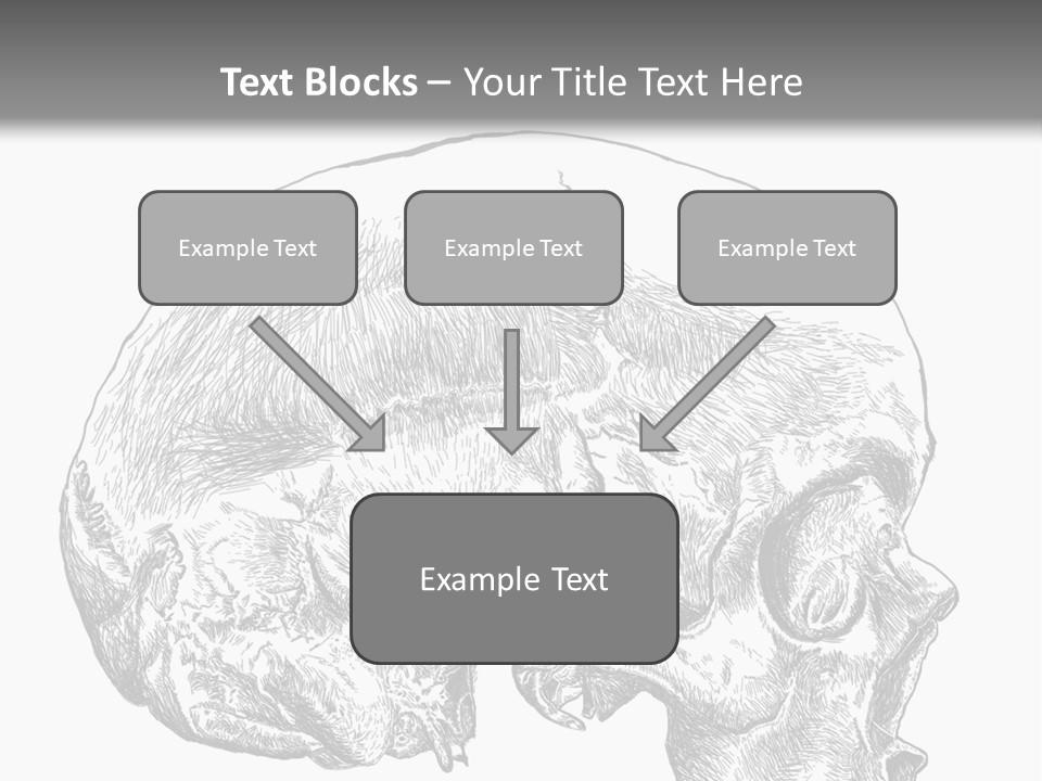 Evolution Set Substructure PowerPoint Template