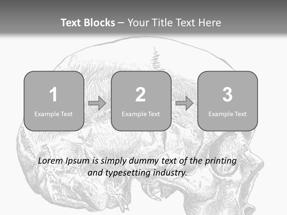Evolution Set Substructure PowerPoint Template