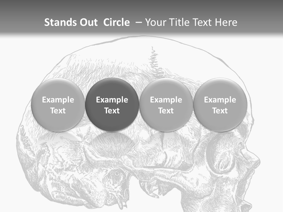 Evolution Set Substructure PowerPoint Template