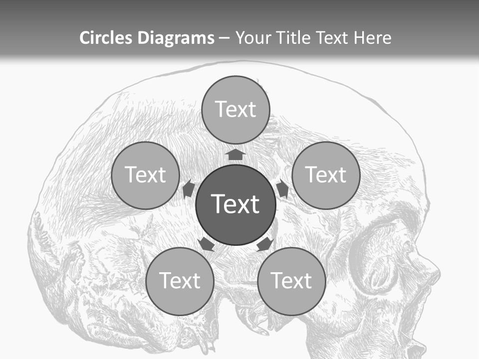 Evolution Set Substructure PowerPoint Template