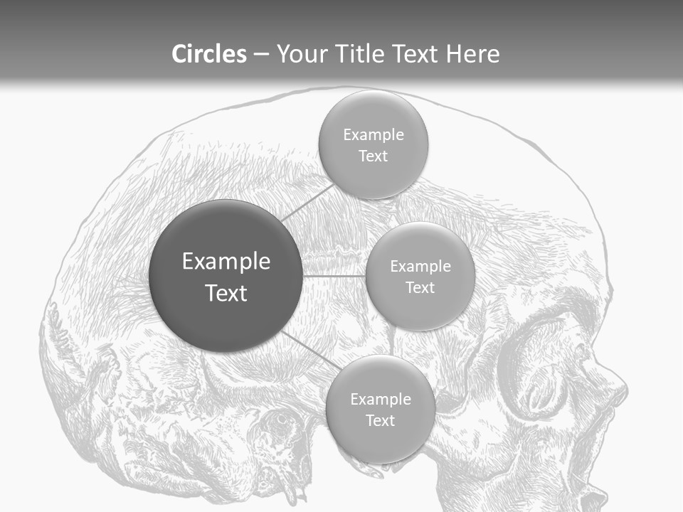 Evolution Set Substructure PowerPoint Template