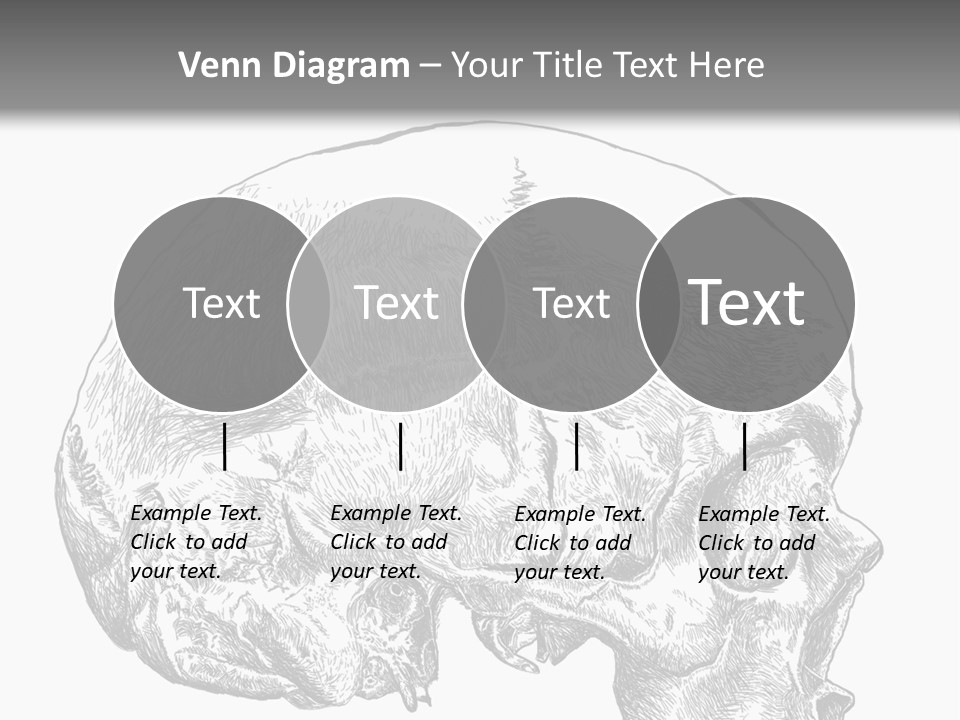 Evolution Set Substructure PowerPoint Template
