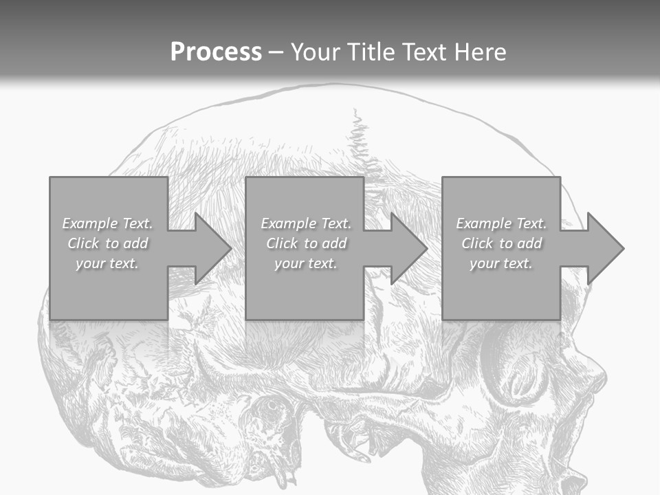 Evolution Set Substructure PowerPoint Template