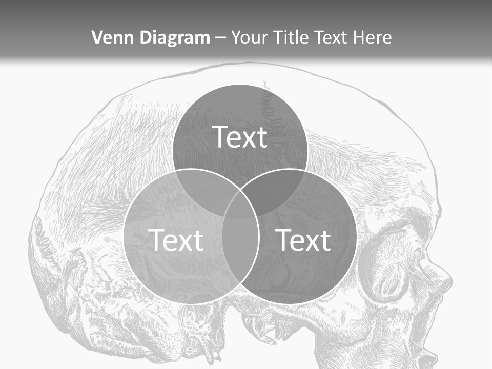 Evolution Set Substructure PowerPoint Template