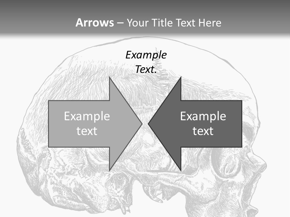 Evolution Set Substructure PowerPoint Template