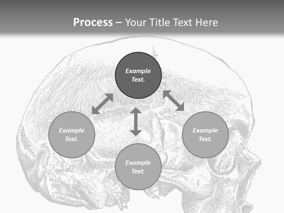 Evolution Set Substructure PowerPoint Template