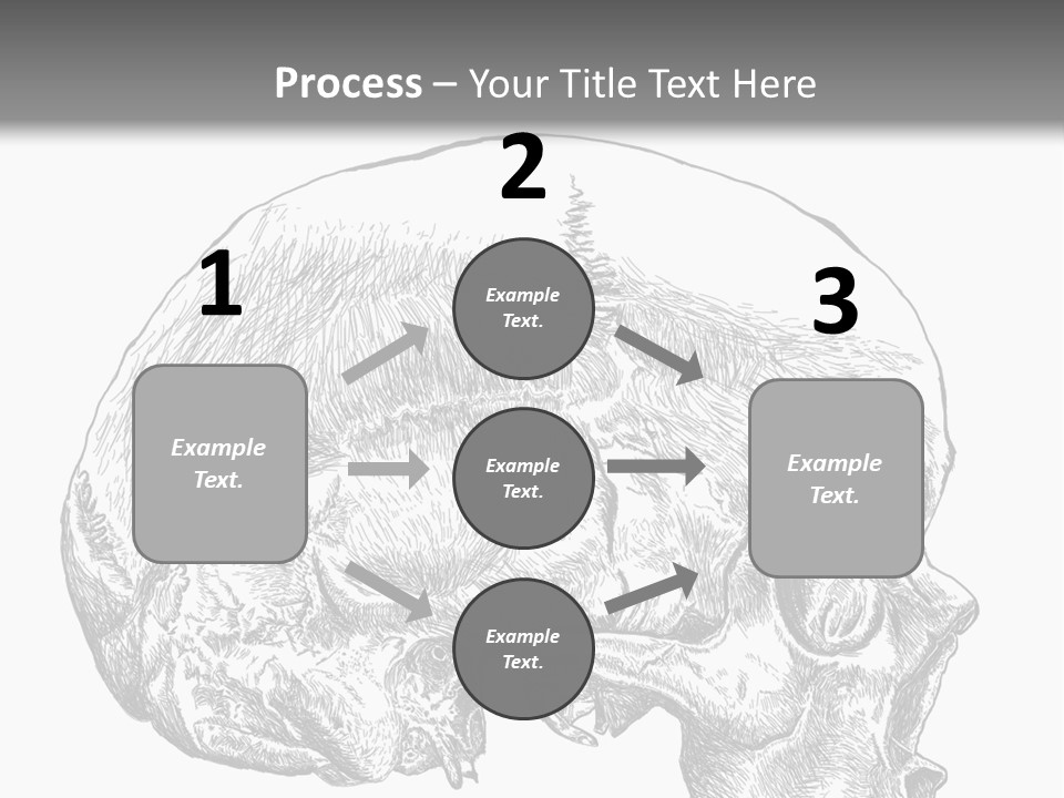Evolution Set Substructure PowerPoint Template