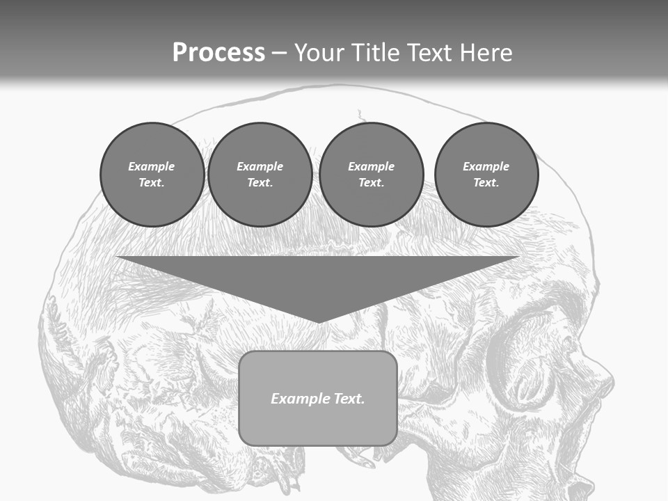 Evolution Set Substructure PowerPoint Template