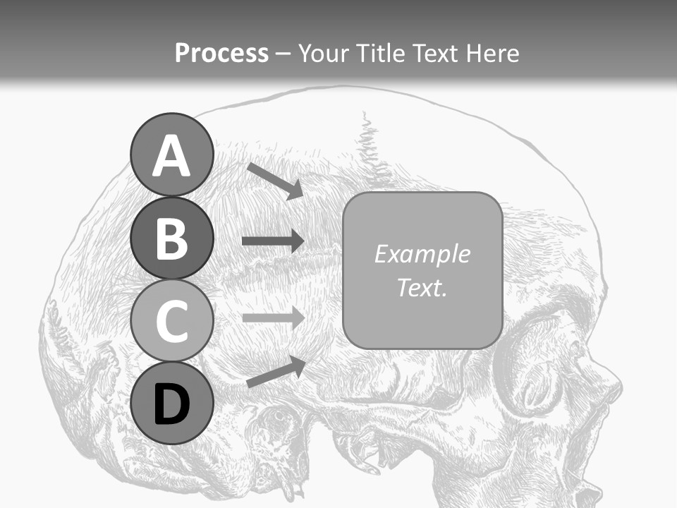 Evolution Set Substructure PowerPoint Template