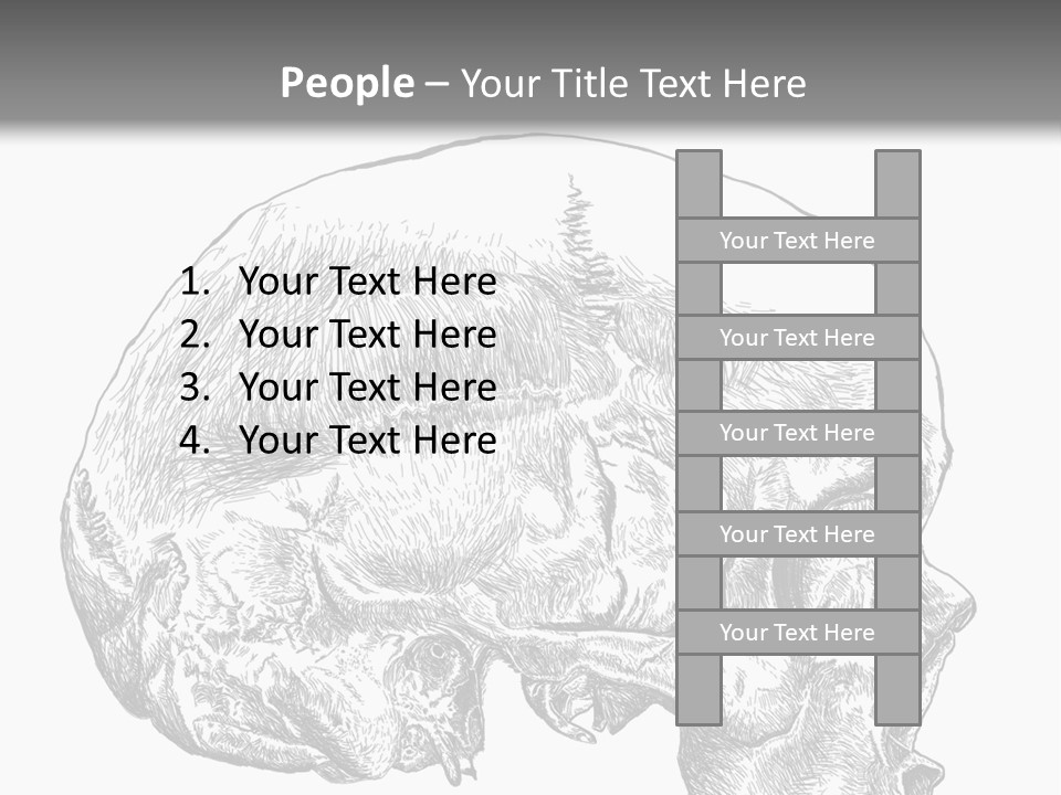 Evolution Set Substructure PowerPoint Template