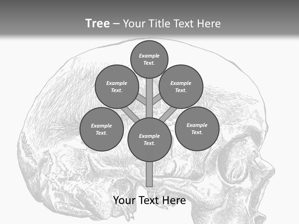 Evolution Set Substructure PowerPoint Template