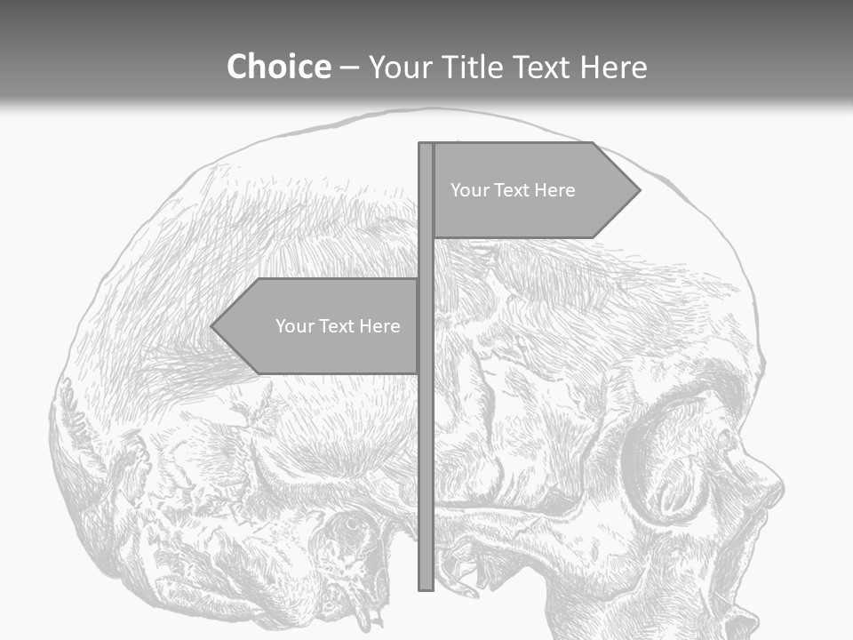 Evolution Set Substructure PowerPoint Template