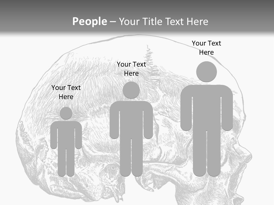 Evolution Set Substructure PowerPoint Template