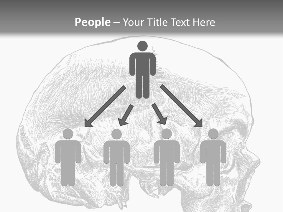 Evolution Set Substructure PowerPoint Template