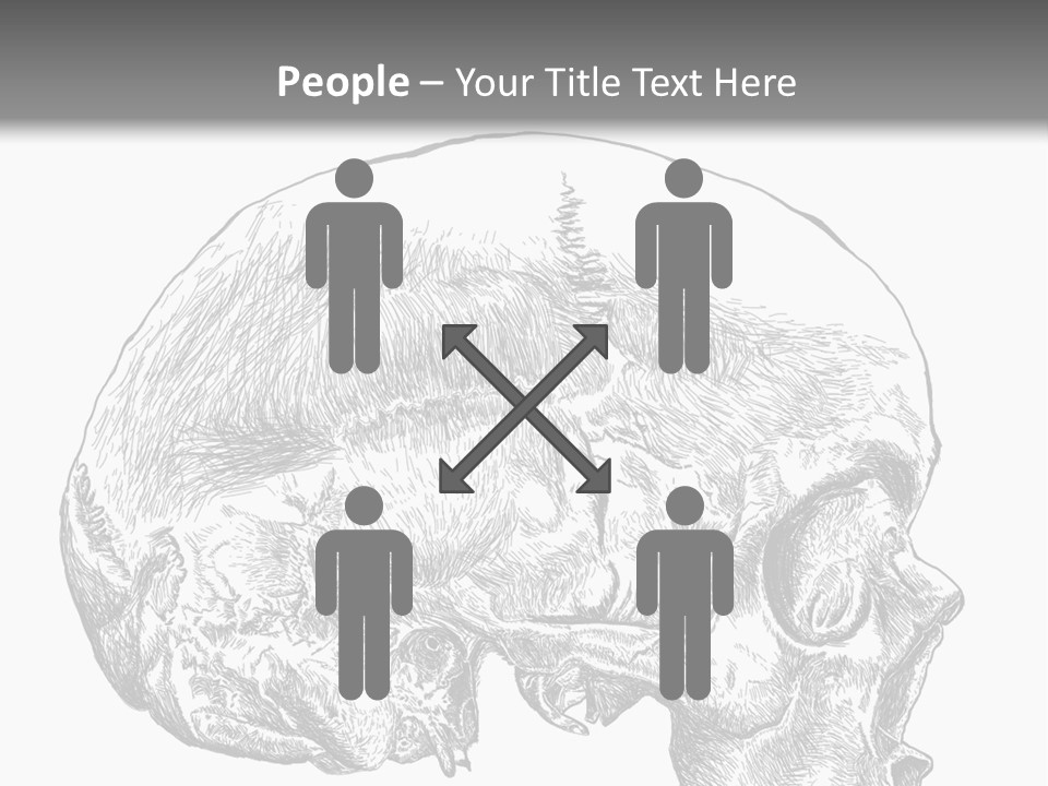 Evolution Set Substructure PowerPoint Template