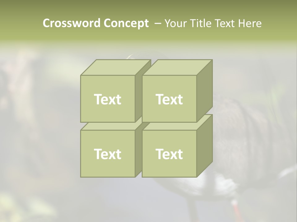 Masked Plover Plover Walking PowerPoint Template