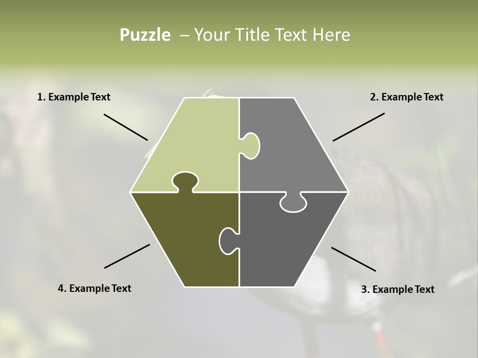 Masked Plover Plover Walking PowerPoint Template