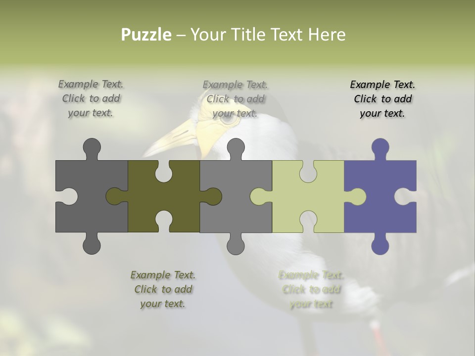 Masked Plover Plover Walking PowerPoint Template