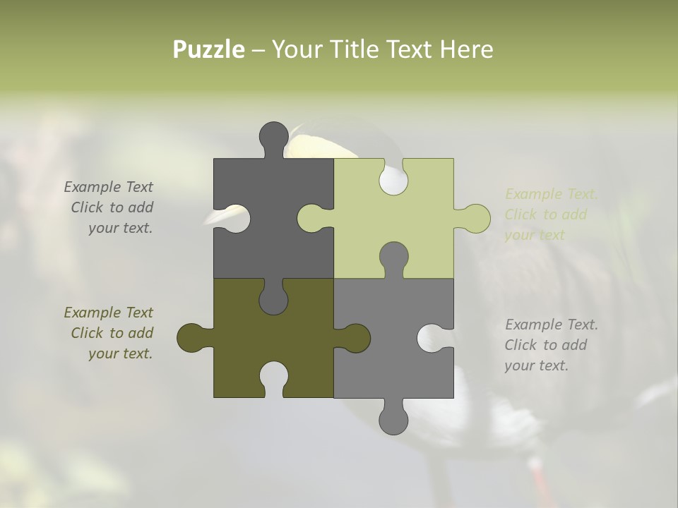 Masked Plover Plover Walking PowerPoint Template