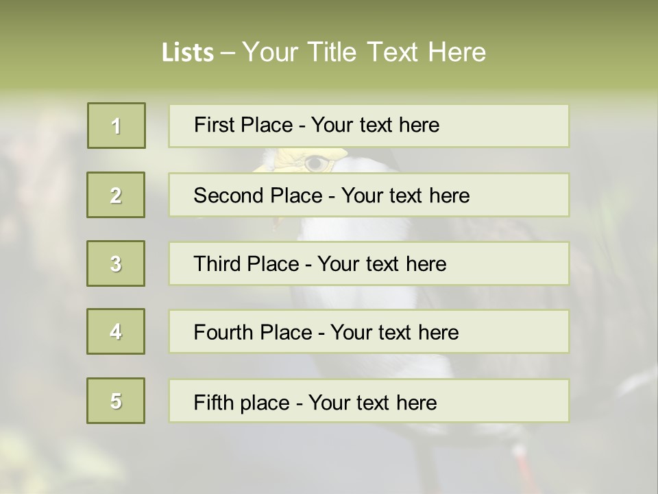 Masked Plover Plover Walking PowerPoint Template