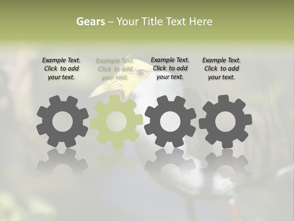 Masked Plover Plover Walking PowerPoint Template