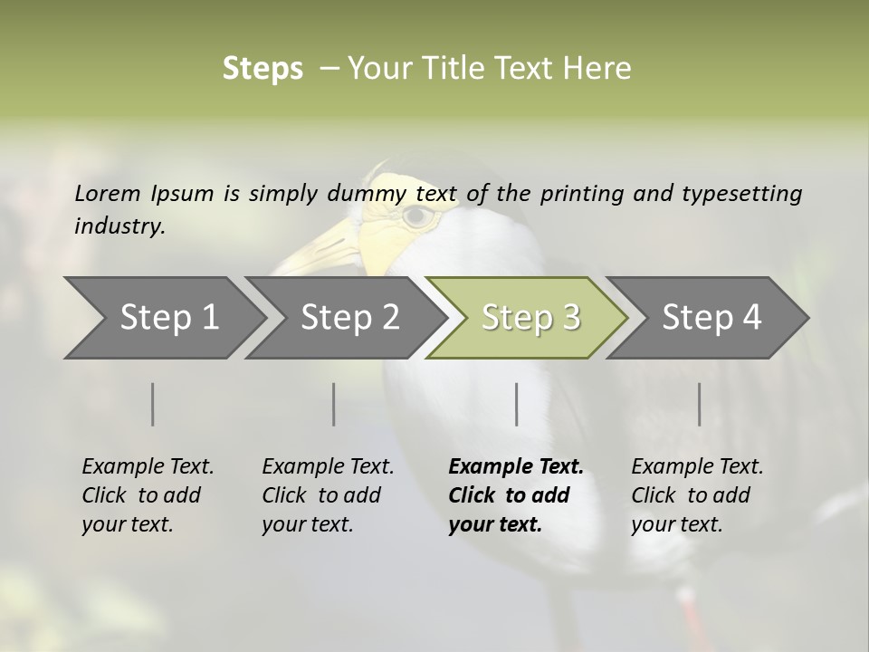 Masked Plover Plover Walking PowerPoint Template