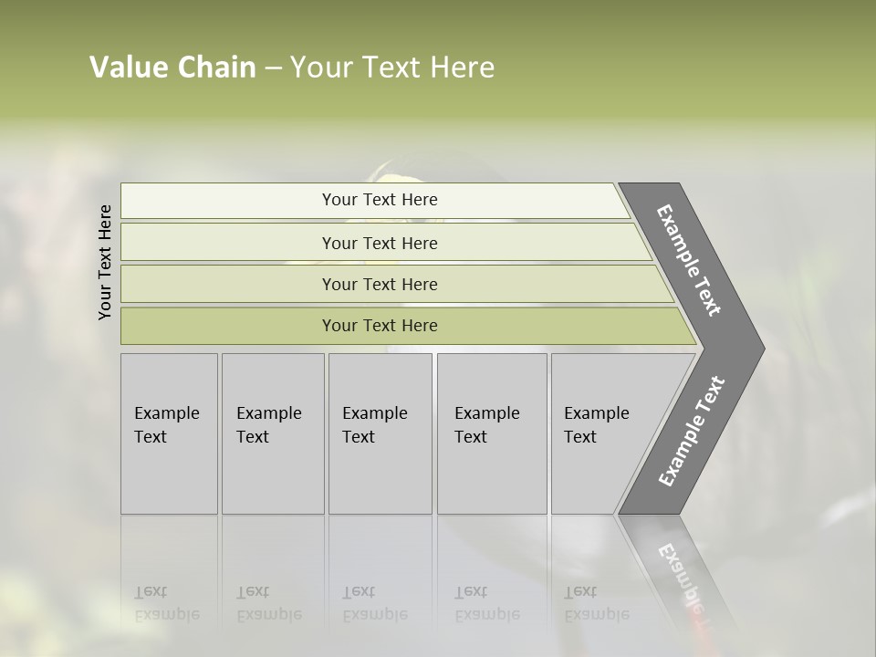 Masked Plover Plover Walking PowerPoint Template