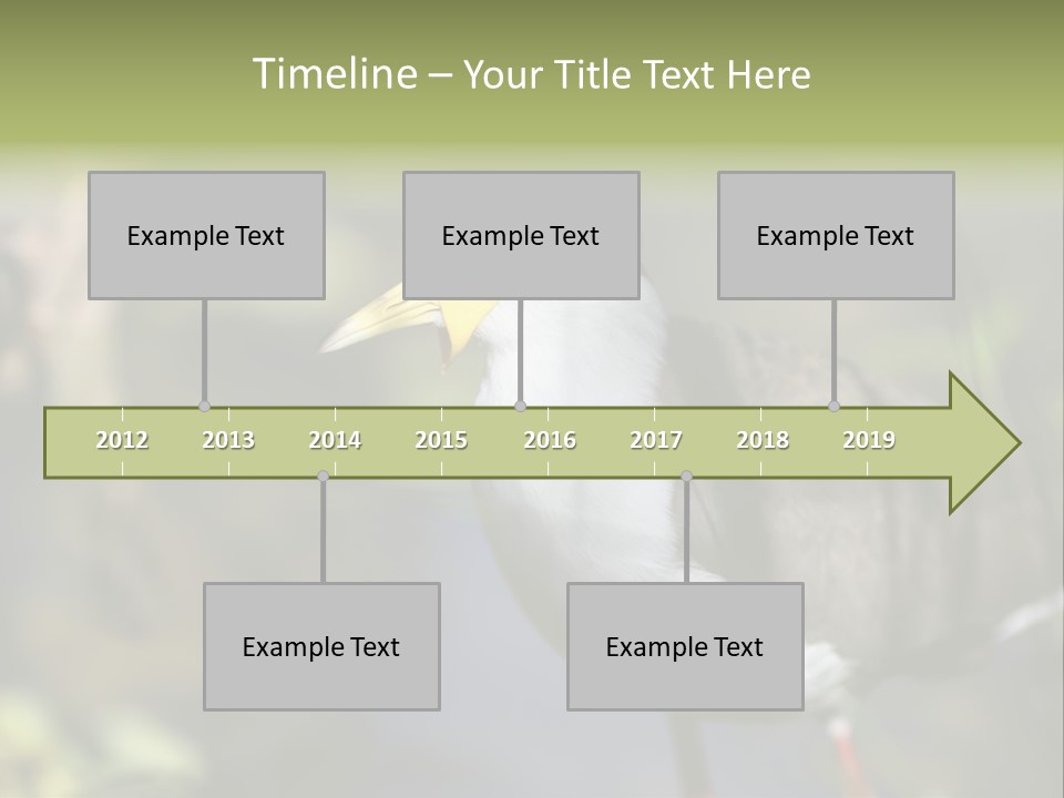 Masked Plover Plover Walking PowerPoint Template