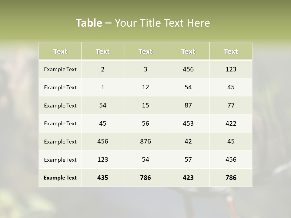 Masked Plover Plover Walking PowerPoint Template