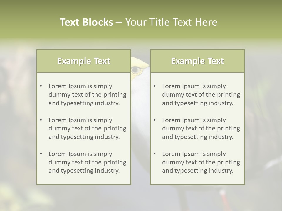 Masked Plover Plover Walking PowerPoint Template