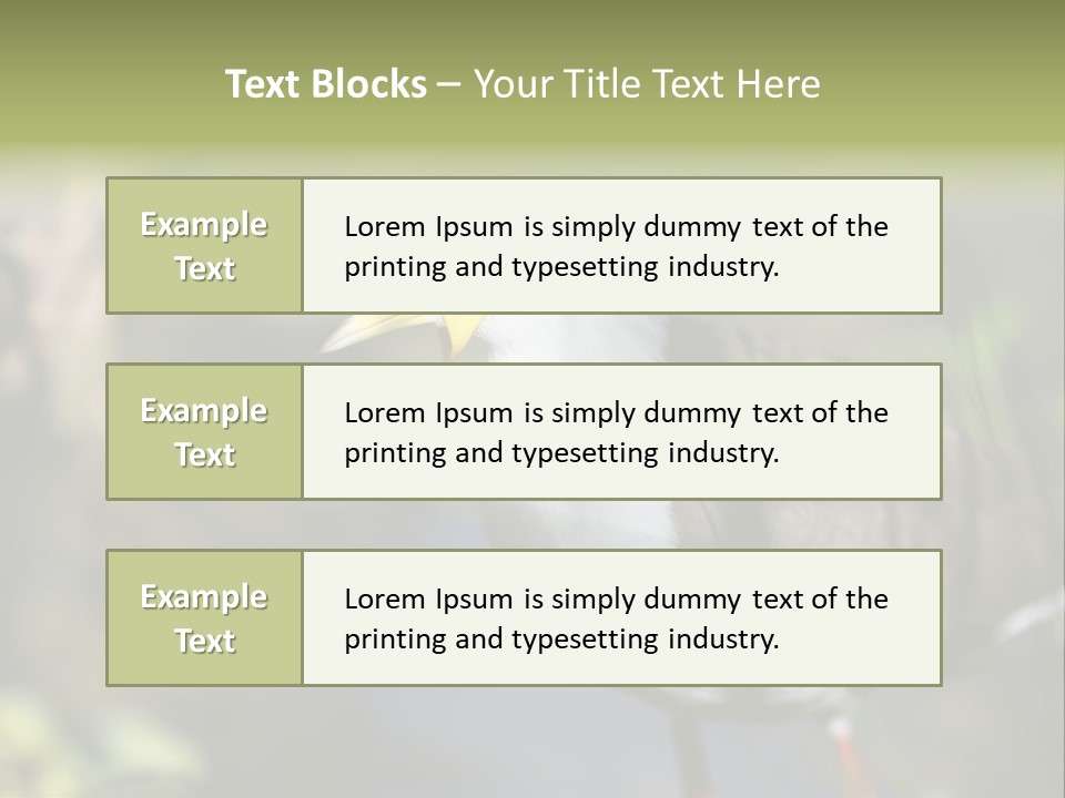 Masked Plover Plover Walking PowerPoint Template