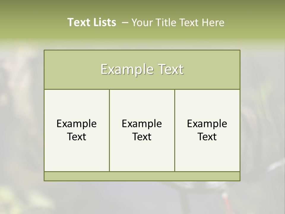 Masked Plover Plover Walking PowerPoint Template
