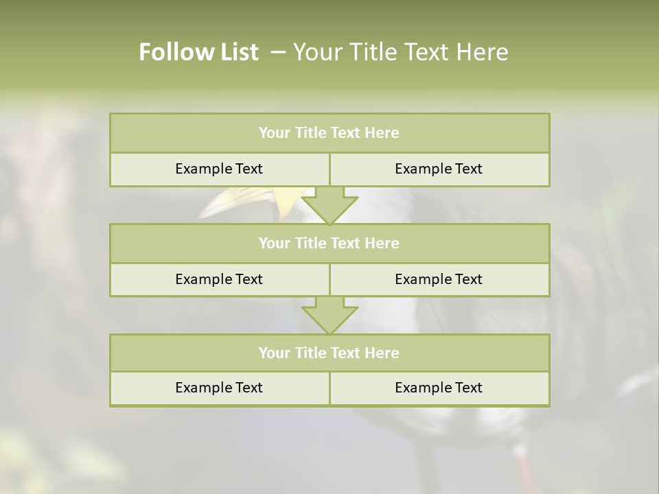 Masked Plover Plover Walking PowerPoint Template
