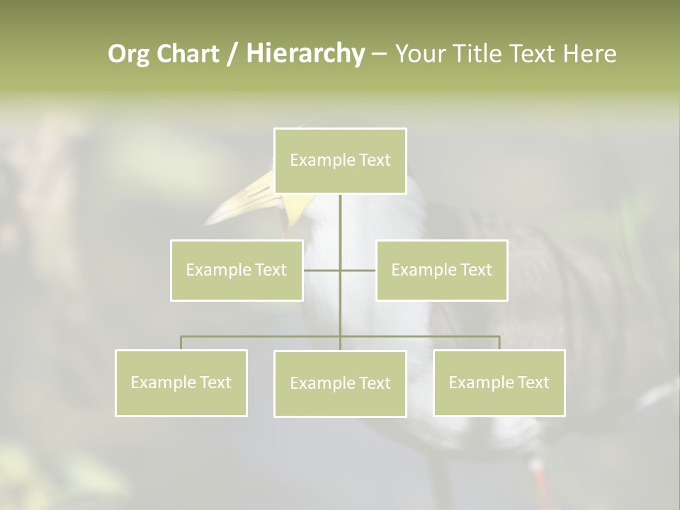 Masked Plover Plover Walking PowerPoint Template
