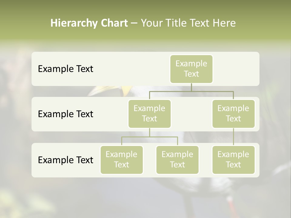 Masked Plover Plover Walking PowerPoint Template