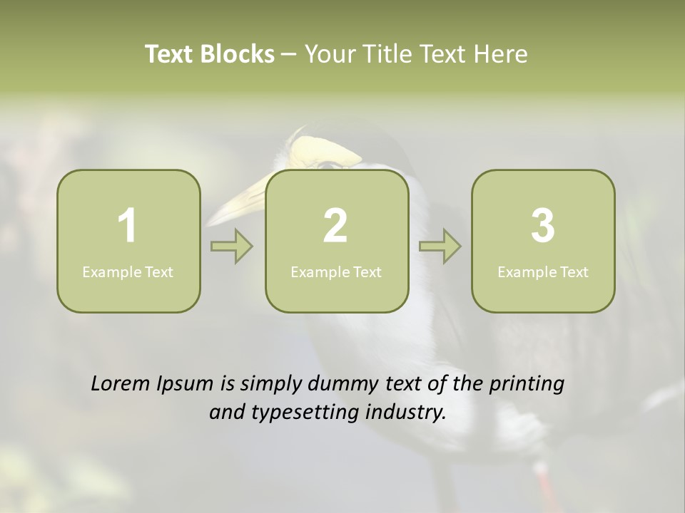 Masked Plover Plover Walking PowerPoint Template