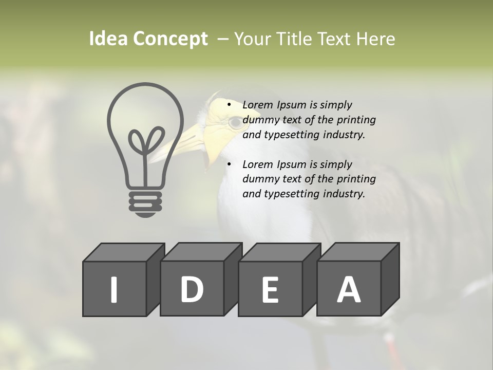 Masked Plover Plover Walking PowerPoint Template